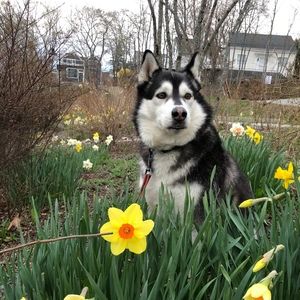 Meet your Posher, Posh